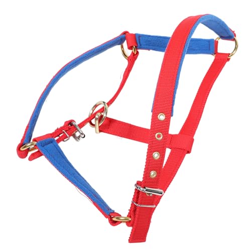Toyvian Verstellbares Pferdehalfter Lebhaften Farben Halfter für Training und Reiten Robuste Konstruktion für und für Verschiedene Pferdesportaktivitäten Sanftes Gebiss für Angenehme Toyvian Verstellbares Pferdehalfter Lebhaften Farben Halfter für Training und Reiten Robuste Konstruktion für und für Verschiedene Pferdesportaktivitäten Sanftes Gebiss für Angenehme von Toyvian