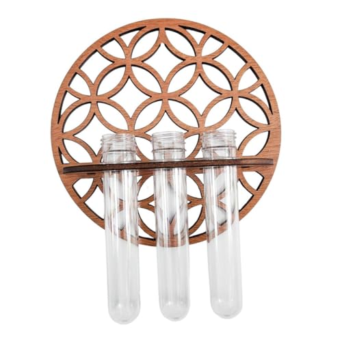 Toyvian Wandpflanzenterrarium Mit Holzständer Transparente Kunststoff-vase Für Hydroponik-Pflanzen Dekoration Für Büro Und Wohnzimmer Hängende Vermehrungsstation Für Pflanzenliebhaber Toyvian Wandpflanzenterrarium Mit Holzständer Transparente Kunststoff-vase Für Hydroponik-Pflanzen Dekoration Für Büro Und Wohnzimmer Hängende Vermehrungsstation Für Pflanzenliebhaber von Toyvian