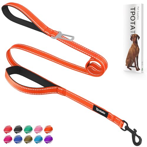 Hundeleine für große, mittelgroße und kleine Rassen, 1,8 m, Orange Hundeleine für große, mittelgroße und kleine Rassen, 1,8 m, Orange von Tpotato