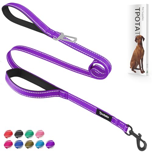 Hundeleine für große, mittelgroße und kleine Rassen, 1,8 m, die ziehen, reflektierendes Nylon, robuste Hundeleine mit 2 bequemen, gepolsterten Verkehrsgriffen und Auto-Sicherheitsgurt für Spaziergänge von Tpotato