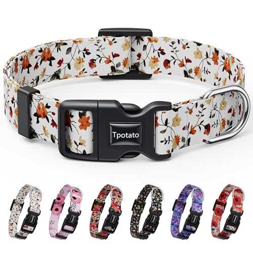 Tpotato Reflektierendes Hundehalsband für Mädchen, für Welpen, kleine, mittelgroße und große Rassen, niedliches Blumendesign, verstellbar, weiches Nylon, Schnellverschluss, Größe XS Tpotato Reflektierendes Hundehalsband für Mädchen, für Welpen, kleine, mittelgroße und große Rassen, niedliches Blumendesign, verstellbar, weiches Nylon, Schnellverschluss, Größe XS von Tpotato