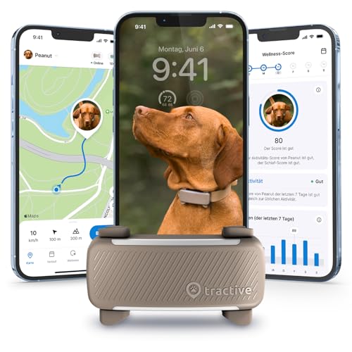 Tractive GPS Tracker Hund | 2025 Edition | Live-Ortung | Weglaufalarm | Aktivitätstracking | Gesundheitswarnungen | Bellverhalten | Empfohlen von Martin Rütter (Braun) von Tractive