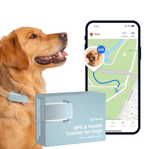Tractive GPS Tracker Hund | 2025 Edition | Live-Ortung | Weglaufalarm | Aktivitätstracking | Gesundheitswarnungen | Bellverhalten | Empfohlen von Martin Rütter (Mint) von Tractive