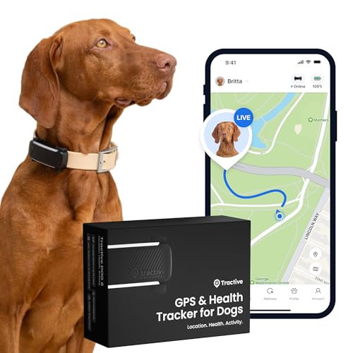 Tractive GPS Tracker Hund | 2025 Edition | Live-Ortung | Weglaufalarm | Aktivitätstracking | Gesundheitswarnungen | Bellverhalten | Empfohlen von Martin Rütter (Schwarz) von Tractive
