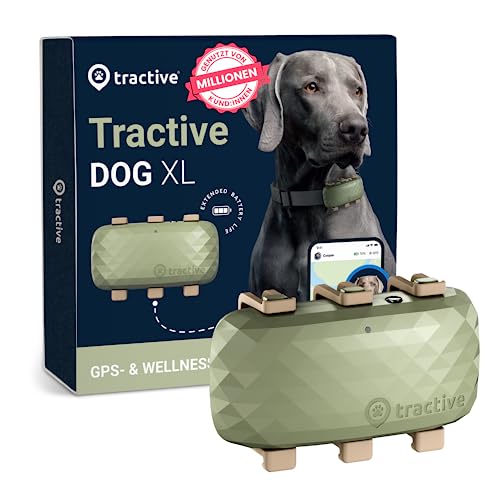 Tractive XL GPS Tracker für Hunde, Empfohlen von Martin Rütter, Bis zu 1 Monat Akku, Weltweite Live-Ortung, Weglaufalarm, Gesundheitstracking, Mehrfacher Testsieger von Tractive