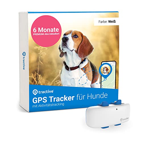 Tractive GPS Tracker für Hunde inkl. 6 Monate PREMIUM-Abo, Empfohlen von Martin Rütter, Weltweite Live-Ortung, Weglaufalarm, Gesundheitswarnungen & Aktivitätstracking, Mehrfacher Testsieger von Tractive
