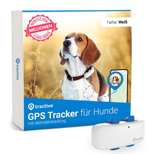 Tractive GPS Tracker für Hunde | Empfohlen von Martin Rütter | Weltweite Live-Ortung | Weglaufalarm | Gesundheitswarnungen & Aktivitätstracking | Mehrfacher Testsieger von Tractive