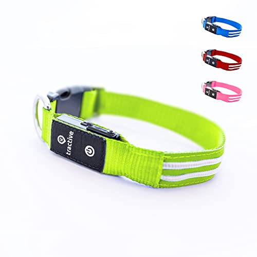 Tractive LED-Leuchthalsband für Hunde. Per USB aufladbar. Wasserdicht (Grün, M) von Tractive
