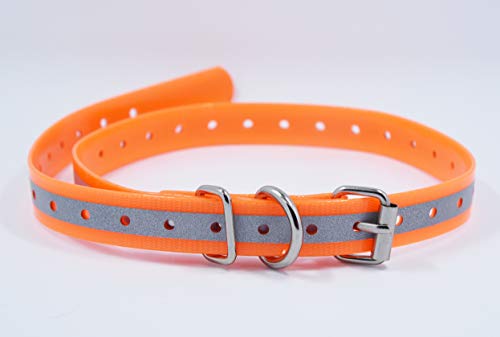 TrainPro Ersatz-Halsband mit doppelter Schnalle für Garmin Delta Dogtra SportDOG Petsafe Petrainer Pädagogin Sport Hundetrainer und unsichtbare Zäune TrainPro Ersatz-Halsband mit doppelter Schnalle für Garmin Delta Dogtra SportDOG Petsafe Petrainer Pädagogin Sport Hundetrainer und unsichtbare Zäune von TrainPro