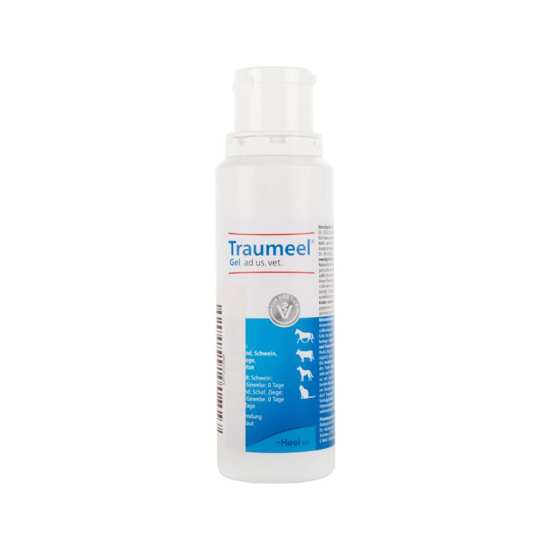 Traumeel Gel - 250 g Traumeel Gel - 250 g von TraumeelHeel