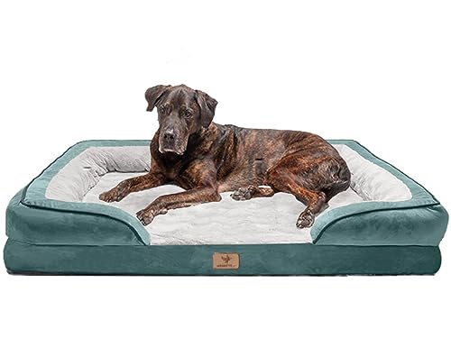 Traumreiter orthopädisches Hundebett für große Hunde XL Grün I Hundekörbchen Hundekorb Hundekissen Hundehöhle Hundesofa Hunde Bettchen Hundebetten für mittlere Hunde 110x80 cm Traumreiter orthopädisches Hundebett für große Hunde XL Grün I Hundekörbchen Hundekorb Hundekissen Hundehöhle Hundesofa Hunde Bettchen Hundebetten für mittlere Hunde 110x80 cm von Traumreiter
