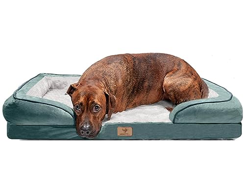 Traumreiter orthopädisches Hundebett für große Hunde, Grün, ca. 135x100 cm (Innenmaß ca. 113x78 cm) Hundekorb Hundekissen Hundehöhle Hundesofa Hunde Bettchen Hundebetten für mittlere Hunde Traumreiter orthopädisches Hundebett für große Hunde, Grün, ca. 135x100 cm (Innenmaß ca. 113x78 cm) Hundekorb Hundekissen Hundehöhle Hundesofa Hunde Bettchen Hundebetten für mittlere Hunde von Traumreiter