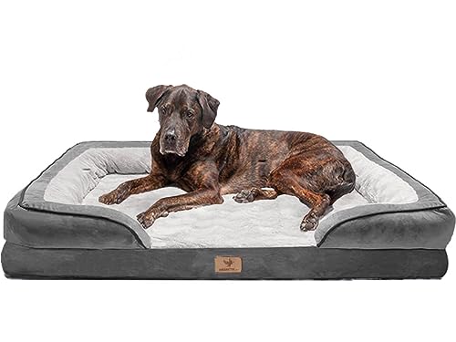 Traumreiter orthopädisches Hundebett für mittelgroße Hunde L Grau I Hundekörbchen Hundekorb Hundekissen Hundehöhle Hundesofa Hunde Bettchen Hundebetten für mittlere Hunde 90x60 cm Traumreiter orthopädisches Hundebett für mittelgroße Hunde L Grau I Hundekörbchen Hundekorb Hundekissen Hundehöhle Hundesofa Hunde Bettchen Hundebetten für mittlere Hunde 90x60 cm von Traumreiter