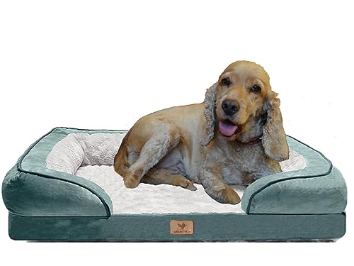 Traumreiter orthopädisches Hundebett für mittelgroße Hunde L Grün I Hundekörbchen Hundekorb Hundekissen Hundehöhle Hundesofa Hunde Bettchen Hundebetten für mittlere Hunde 90x60 cm Traumreiter orthopädisches Hundebett für mittelgroße Hunde L Grün I Hundekörbchen Hundekorb Hundekissen Hundehöhle Hundesofa Hunde Bettchen Hundebetten für mittlere Hunde 90x60 cm von Traumreiter