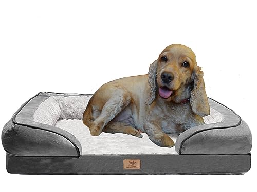 Traumreiter orthopädisches Hundebett für mittelgroße Hunde M Grau I Hundekörbchen Hundekorb Hundekissen Hundehöhle Hundesofa Hunde Bettchen Hundebetten für mittlere Hunde 70x50 cm Traumreiter orthopädisches Hundebett für mittelgroße Hunde M Grau I Hundekörbchen Hundekorb Hundekissen Hundehöhle Hundesofa Hunde Bettchen Hundebetten für mittlere Hunde 70x50 cm von Traumreiter