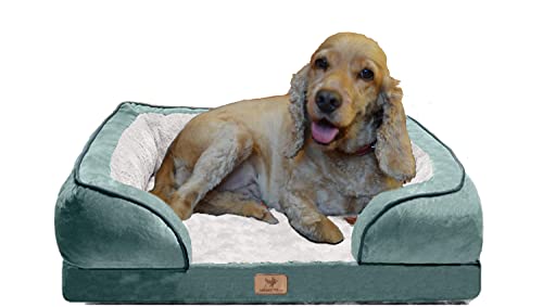 Traumreiter orthopädisches Hundebett für mittelgroße Hunde 70x50 cm (Innenmaß ca. 48x28 cm), Grün, Hundekörbchen Hundekorb Hundekissen Hundehöhle Hundesofa Hunde Bettchen Hundebetten mittlere Hunde Traumreiter orthopädisches Hundebett für mittelgroße Hunde 70x50 cm (Innenmaß ca. 48x28 cm), Grün, Hundekörbchen Hundekorb Hundekissen Hundehöhle Hundesofa Hunde Bettchen Hundebetten mittlere Hunde von Traumreiter