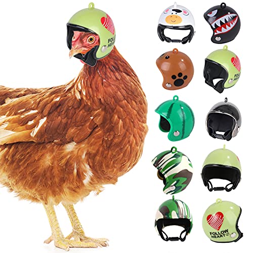 Traumzimmer Pet Chicken Helm,Kunststoff + Elastisches Band Für Huhn, Ente, Vogel Und Anderes Geflügel,4 X 4,5 cm(Zufällige Farbe) (1PC) von Traumzimmer