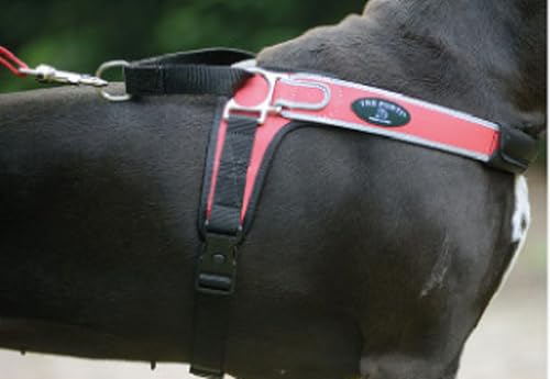 TRE Ponti Geschirr Forza mit Reflektierenden Rand Hellblau 80-100 cm bis ca. 30-40 kg von Tre Ponti