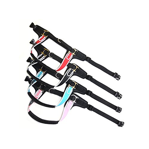 TRE Ponti Geschirr Forza mit Reflektierenden Rand Schwarz 80-100 cm bis ca. 30-40 kg von Tre Ponti