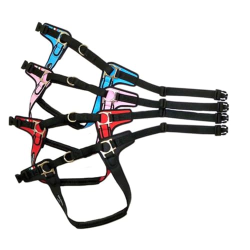 TRE Ponti Geschirr Forza mit Schwarzen Rand Rot 65-80 cm bis ca. 20-30 kg TRE Ponti Geschirr Forza mit Schwarzen Rand Rot 65-80 cm bis ca. 20-30 kg von Tre Ponti