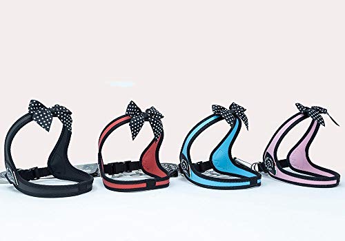 Tre Ponti Easy Fit Fashion - Polka Dot Bow - Click-Verschluss - Schwarz - Schwarzer Rand - GR. 1 Tre Ponti Easy Fit Fashion - Polka Dot Bow - Click-Verschluss - Schwarz - Schwarzer Rand - GR. 1 von Tre Ponti