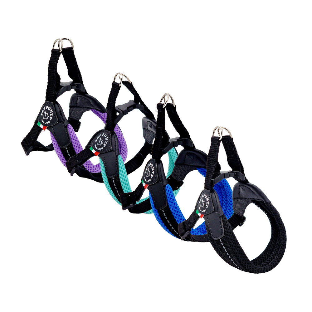 Tre Ponti Fibbia Mesh Verstellbar - Mint - Größe 2 Tre Ponti Fibbia Mesh Verstellbar - Mint - Größe 2 von Tre Ponti