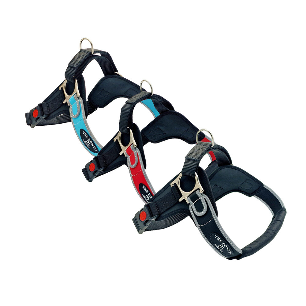Tre Ponti Forza Reflexion - Rot - XXL Tre Ponti Forza Reflexion - Rot - XXL von Tre Ponti