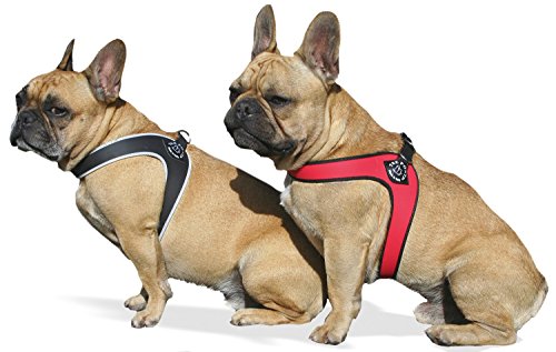 Tre Ponti Geschirr für Hunde / Farbe Schwarz / Gr.2,5 bis ca. 6kg Brustumfang 37-42cm von Tre Ponti