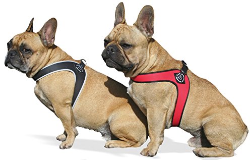 Tre Ponti Geschirr für Hunde / Farbe Schwarz / Gr.2,5 bis ca. 6kg Brustumfang 37-42cm Tre Ponti Geschirr für Hunde / Farbe Schwarz / Gr.2,5 bis ca. 6kg Brustumfang 37-42cm von Tre Ponti