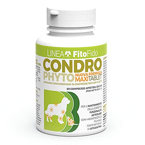 Trebifarma Condrophyto Ergänzungsfuttermittel für Hunde / Katzen – Gelenkunterstützung, 120 g von Trebifarma