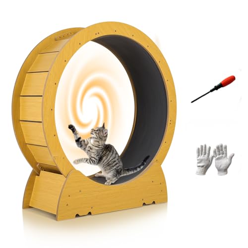 Katzenlaufrad Großes Laufrad für Katzen 90cm, Katzenlaufband für Hauskatzen, Katzenlaufrad mit abnehmbarem Teppich zum Laufen/Gehen/Trainieren, geeignet für die meisten Katzen bis 5 kg Katzenlaufrad Großes Laufrad für Katzen 90cm, Katzenlaufband für Hauskatzen, Katzenlaufrad mit abnehmbarem Teppich zum Laufen/Gehen/Trainieren, geeignet für die meisten Katzen bis 5 kg von Treeboy