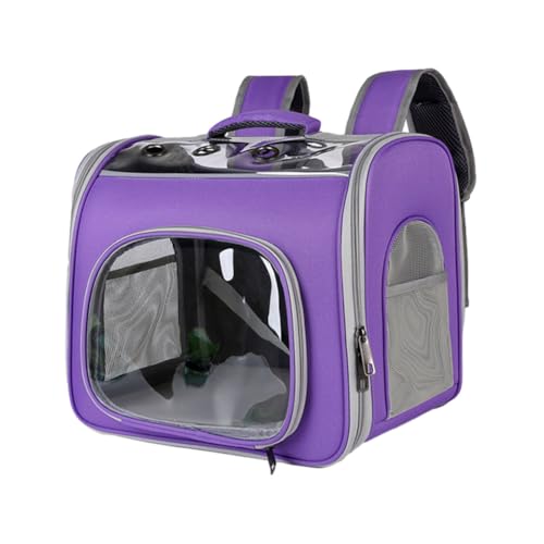 Treer Transporttasche für Haustiere, Transportbox für Hunde & Katzen, Faltbar Haustiertransportbox Leichte Reise Tragetasche Für Reisen im Flugzeug, Auto oder Zug (35 * 41 * 29.5cm,Lila) von Treer