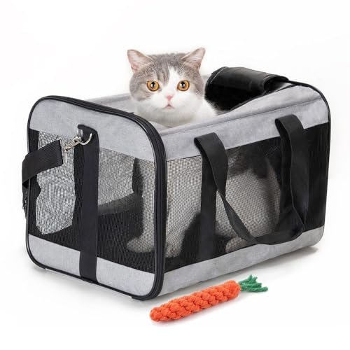 Treer Transporttasche für Haustiere, Transportbox für Hunde & Katzen, Faltbar Haustiertransportbox Leichte Reise Tragetasche für Reisen im Flugzeug Auto Oder Zug (L 48x30x30cm,Grau) von Treer