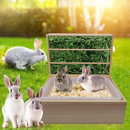 Treesunshine Heuraufe für Kaninchen Holz, Heuraufe naturbelassenes mit Herausnehmbarer Mülleimer aus Kunststoff, 2 In 1 Kaninchen Heu Raufe Futterautomat die Gesundheit für Kaninchen Kleintiere von Treesunshine