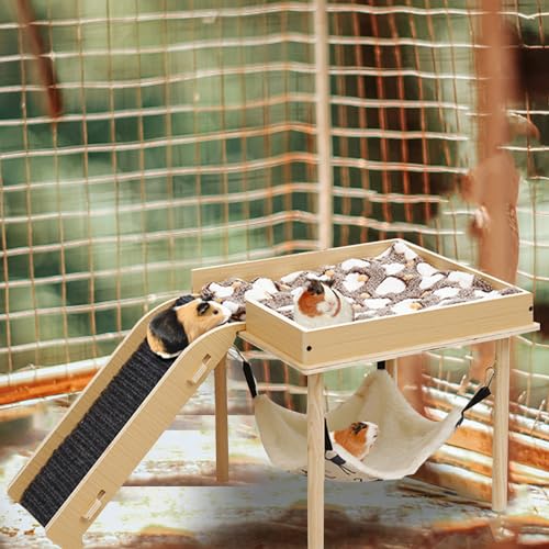 Treesunshine Meerschweinchen Hängematte mit Holzständ, Holz Hamsterhaus, Hängemattengestell mit Hängematte für Meerschweinchen, für Chinchilla-Ratten, Hamster, Hasen, Frettchen, die schlafen Treesunshine Meerschweinchen Hängematte mit Holzständ, Holz Hamsterhaus, Hängemattengestell mit Hängematte für Meerschweinchen, für Chinchilla-Ratten, Hamster, Hasen, Frettchen, die schlafen von Treesunshine