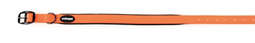 TrendLine Neon Halsband 20mm orange von TrendLine