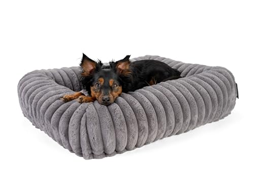 TrendPet Biscuit Cube, Hundebett (Grau, M) von TrendPet