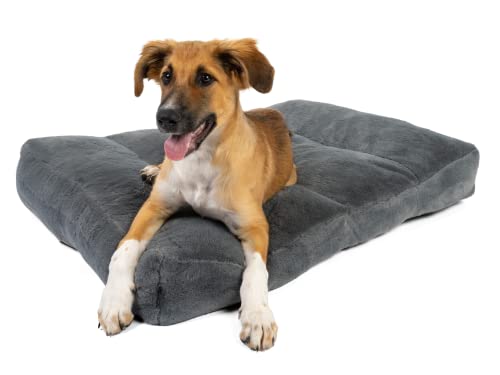 TrendPet Maya Ortho - Orthopädisches Hundebett (120x85cm) von TrendPet