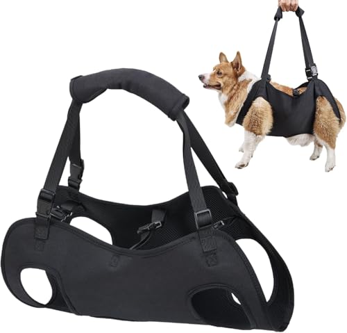 Trendecor Tragehilfe Hund, Verstellbare Hunde Tragehilfe Hundeliftgeschirr mit Griffen Sicherheitsunterstützung Ganzkörpergeschirr für Behinderte Verletzte oder Mittelgroße Ältere Hund M Trendecor Tragehilfe Hund, Verstellbare Hunde Tragehilfe Hundeliftgeschirr mit Griffen Sicherheitsunterstützung Ganzkörpergeschirr für Behinderte Verletzte oder Mittelgroße Ältere Hund M von Trendecor
