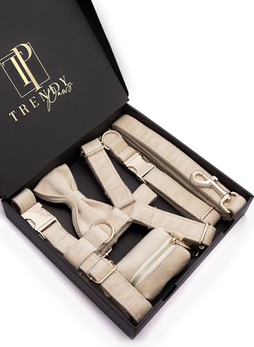 Cremefarbenes Samt-Hunde-Set, luxuriöses Outfit mit süßem Halsband, Brustgeschirr, Leine, zugeschnitten für kleine, mittelgroße und große Rassen, komplett mit stylischer Fliege und exklusivem Cremefarbenes Samt-Hunde-Set, luxuriöses Outfit mit süßem Halsband, Brustgeschirr, Leine, zugeschnitten für kleine, mittelgroße und große Rassen, komplett mit stylischer Fliege und exklusivem von Trendy Paws