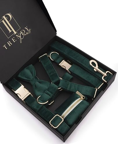 Hunde-Set aus grünem Samt, luxuriöses Outfit mit süßem Halsband, Brustgeschirr, Leine, zugeschnitten für kleine, mittelgroße und große Rassen, komplett mit stylischer Fliege und exklusivem Hunde-Set aus grünem Samt, luxuriöses Outfit mit süßem Halsband, Brustgeschirr, Leine, zugeschnitten für kleine, mittelgroße und große Rassen, komplett mit stylischer Fliege und exklusivem von Trendy Paws