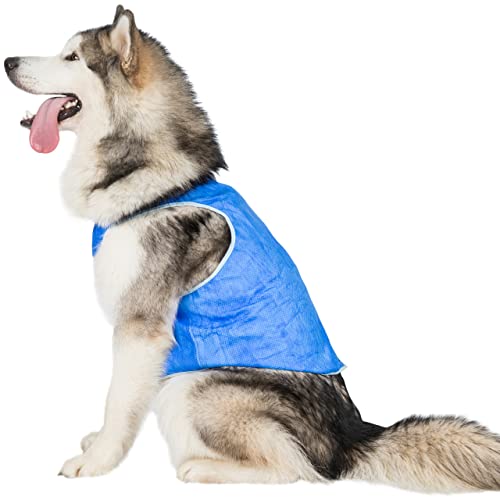 Alaska Trespaws Dog Cooling Vest - Sapphire XL von Trespaws