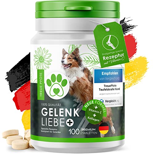 TreuePfote® - 100 Gelenktabletten Made in Germany für Hunde mit MSM, Grünlippmuschel und Teufelskralle - hohe Akzeptanz beim Hund - reicht für 6 Monate von TreuePfote