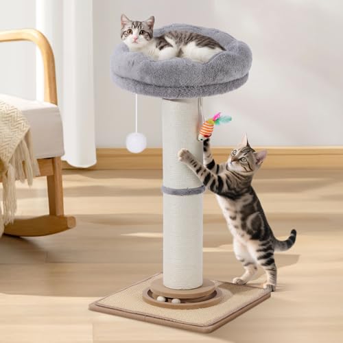 Katzenkratzposten, Trhillsbrad 81 cm hoher Katzenkratzposten mit dickem Durchmesser für Hauskatzen und erwachsene Katzen, Katzenkratzposten mit interaktivem Ball & niedlichen Spielzeugen, Sisalkatzenk Katzenkratzposten, Trhillsbrad 81 cm hoher Katzenkratzposten mit dickem Durchmesser für Hauskatzen und erwachsene Katzen, Katzenkratzposten mit interaktivem Ball & niedlichen Spielzeugen, Sisalkatzenk von Trhillsbrad