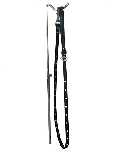 Trilly tutti Brilli Hundeleine mit Swarovski-Nieten, schwarz lackiert, 20 mm, 1 Produkt Trilly tutti Brilli Hundeleine mit Swarovski-Nieten, schwarz lackiert, 20 mm, 1 Produkt von Trilly tutti Brilli