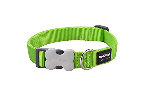 Red Dingo Nylon Hundehalsband, hellgrün, S (DC-ZZ-LG-15) Red Dingo Nylon Hundehalsband, hellgrün, S (DC-ZZ-LG-15) von Red Dingo