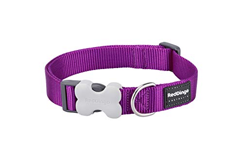 Trilus DC-ZZ-PU-20 Nylon Hundehalsband, violett, M von Red Dingo