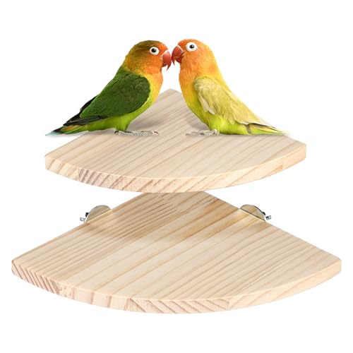2 Stück Vogel-Sitzstange, 2 Größen, Holz, für Papageien, Ecke, stabile Papageien-Sitzstangen, 13 cm und 17 cm, Fächerform, flache Sitzstangen, Spielplatzkäfig, Übungszubehör für Rennmäuse, Vögel 2 Stück Vogel-Sitzstange, 2 Größen, Holz, für Papageien, Ecke, stabile Papageien-Sitzstangen, 13 cm und 17 cm, Fächerform, flache Sitzstangen, Spielplatzkäfig, Übungszubehör für Rennmäuse, Vögel von Trinkrittey