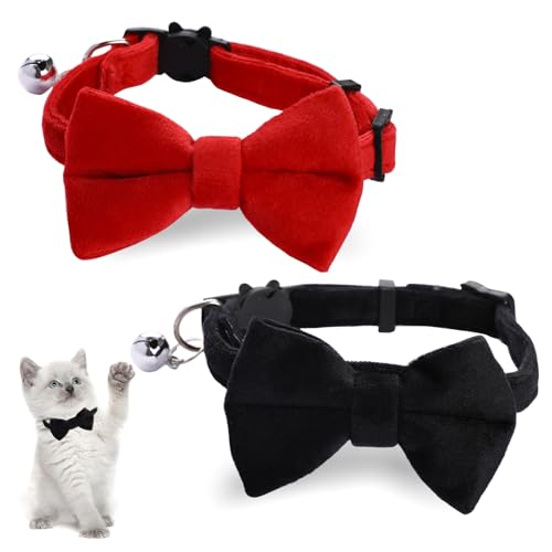 Samt-Katzenhalsband, niedliches Katzenhalsband, verstellbar, mit Glocke und Fliege, einfarbig, abnehmbare Katzen mit Sicherheitsschnalle für Katzen, Kätzchen, Welpen, Haustierzubehör, 2 Stück Samt-Katzenhalsband, niedliches Katzenhalsband, verstellbar, mit Glocke und Fliege, einfarbig, abnehmbare Katzen mit Sicherheitsschnalle für Katzen, Kätzchen, Welpen, Haustierzubehör, 2 Stück von Trinkrittey