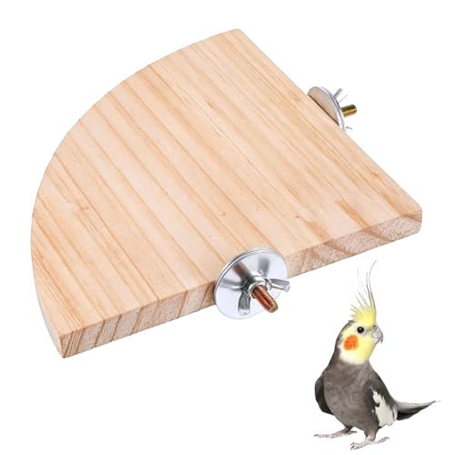 Vogelsitzstange Plattform Ständer Holz Papagei Sitzstange Ecke 5,9 Zoll Fächerform Spielplatz Käfig Zubehör Papagei Ständer Flache Sitzstangen für Vogelkäfige Eckregal für Vögel Papageien Hamster von Trinkrittey